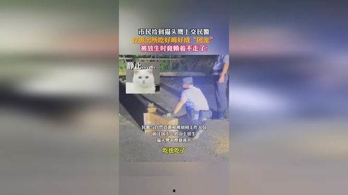 在警察局吃瓜成团宠免费,吃瓜成团宠的欢乐日常 第1张 在警察局吃瓜成团宠免费,吃瓜成团宠的欢乐日常 第1张